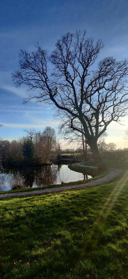 Kingfisher Cabin - Wild Escapes Wrenbury Off Grid Glamping - Ages 12 And Over Baddiley Exteriör bild
